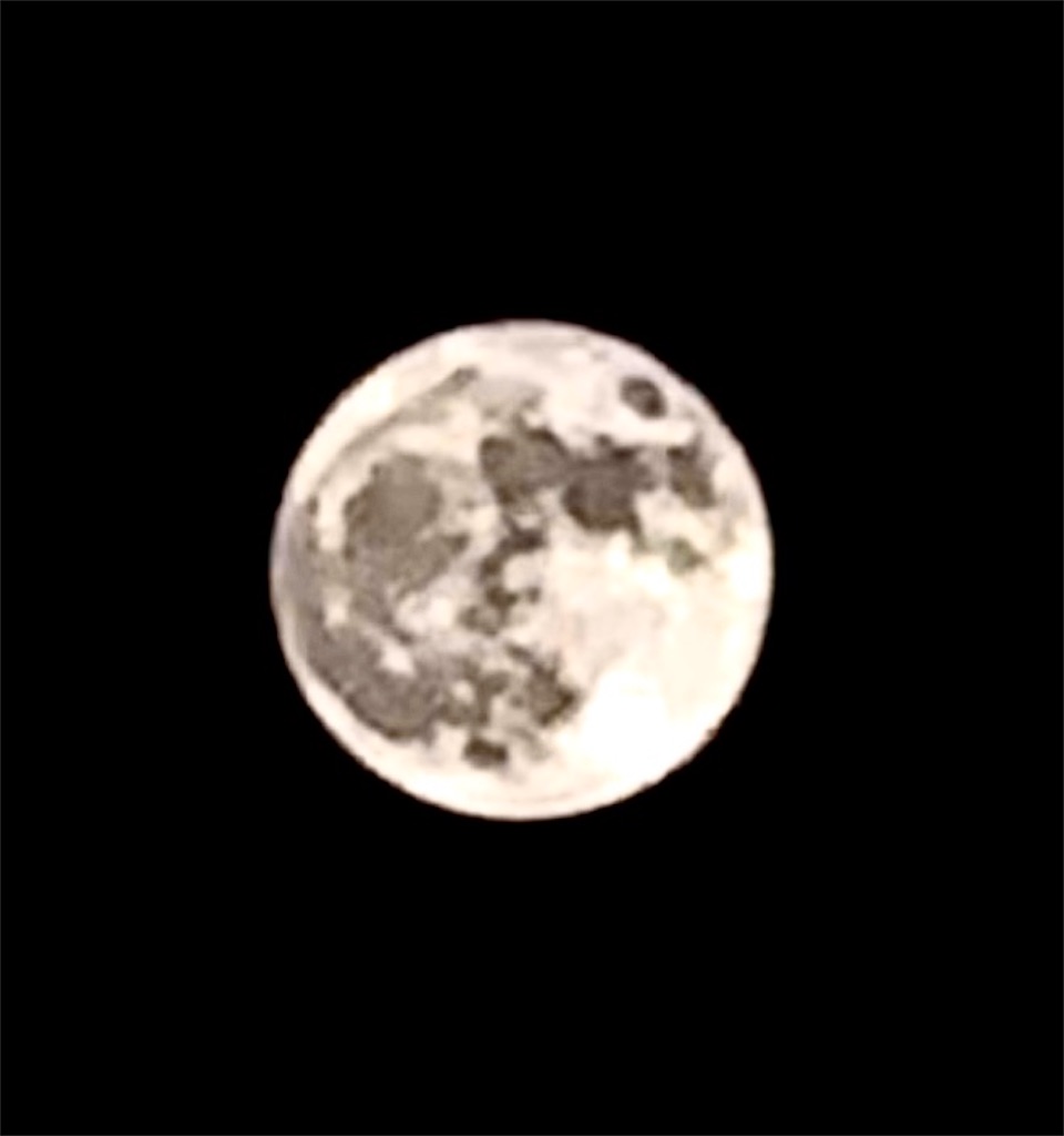 f:id:ops-since2010:20260531220039j:image f:id:ops-since2010:20260531220039j:image