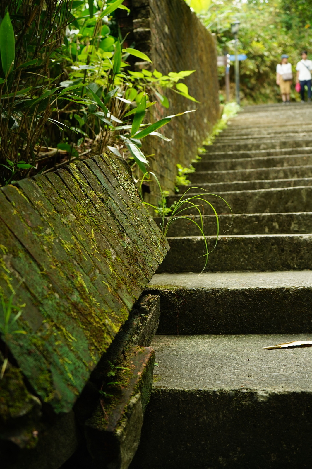 f:id:optim-tech:20200327184803j:plain:h500 f:id:optim-tech:20200327184803j:plain:h500