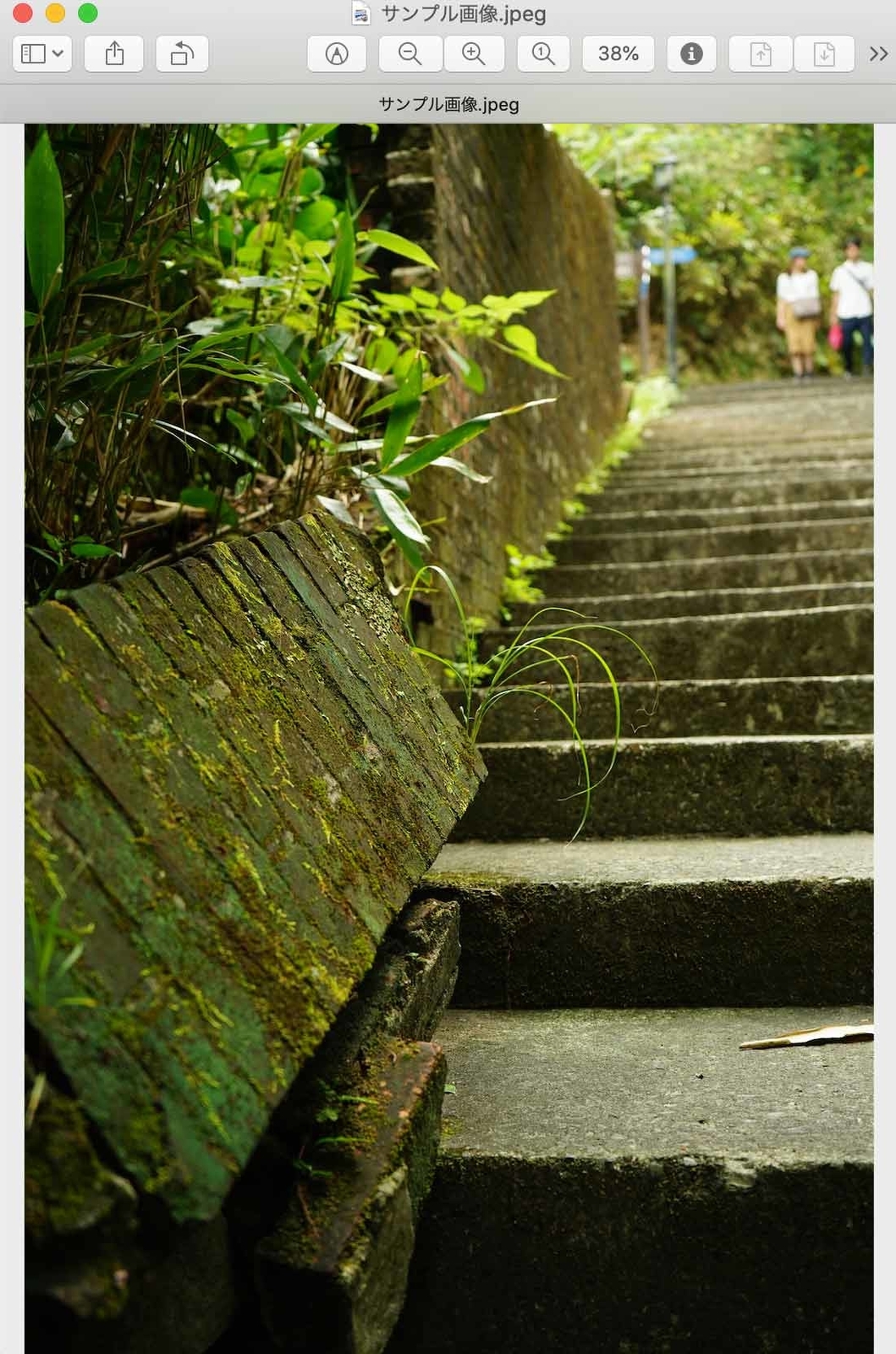 f:id:optim-tech:20200327193222j:plain:h500 f:id:optim-tech:20200327193222j:plain:h500