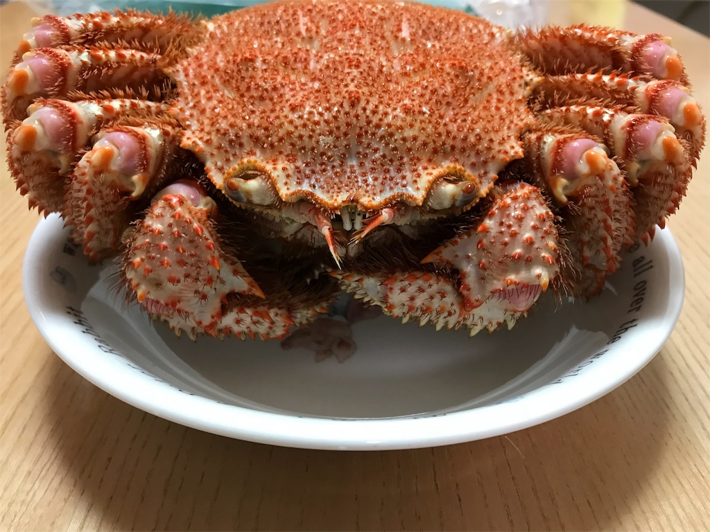 f:id:option-trade:20190501190049j:image f:id:option-trade:20190501190049j:image