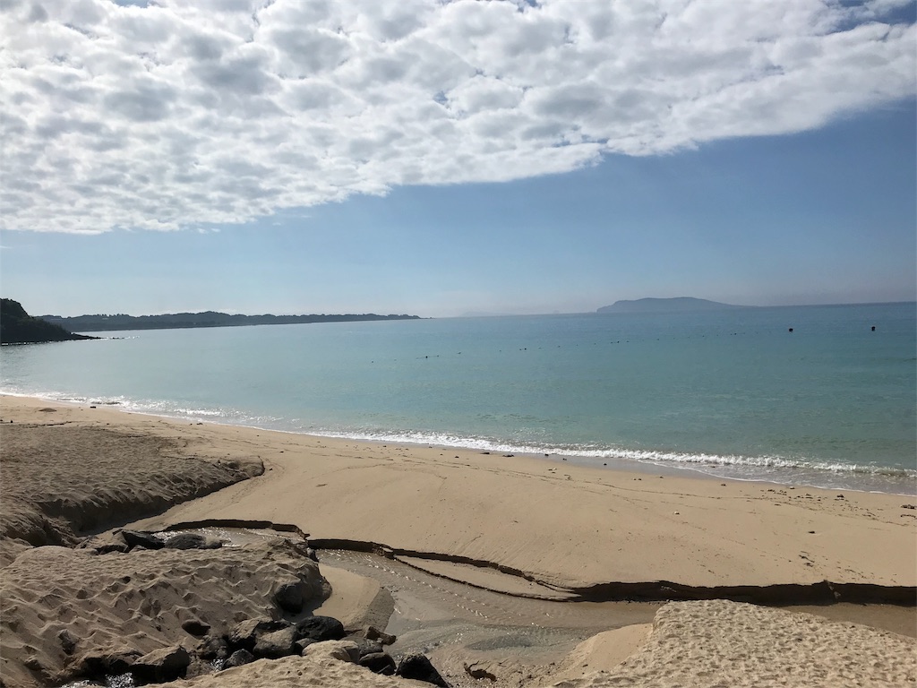 f:id:option-trade:20190805072352j:image