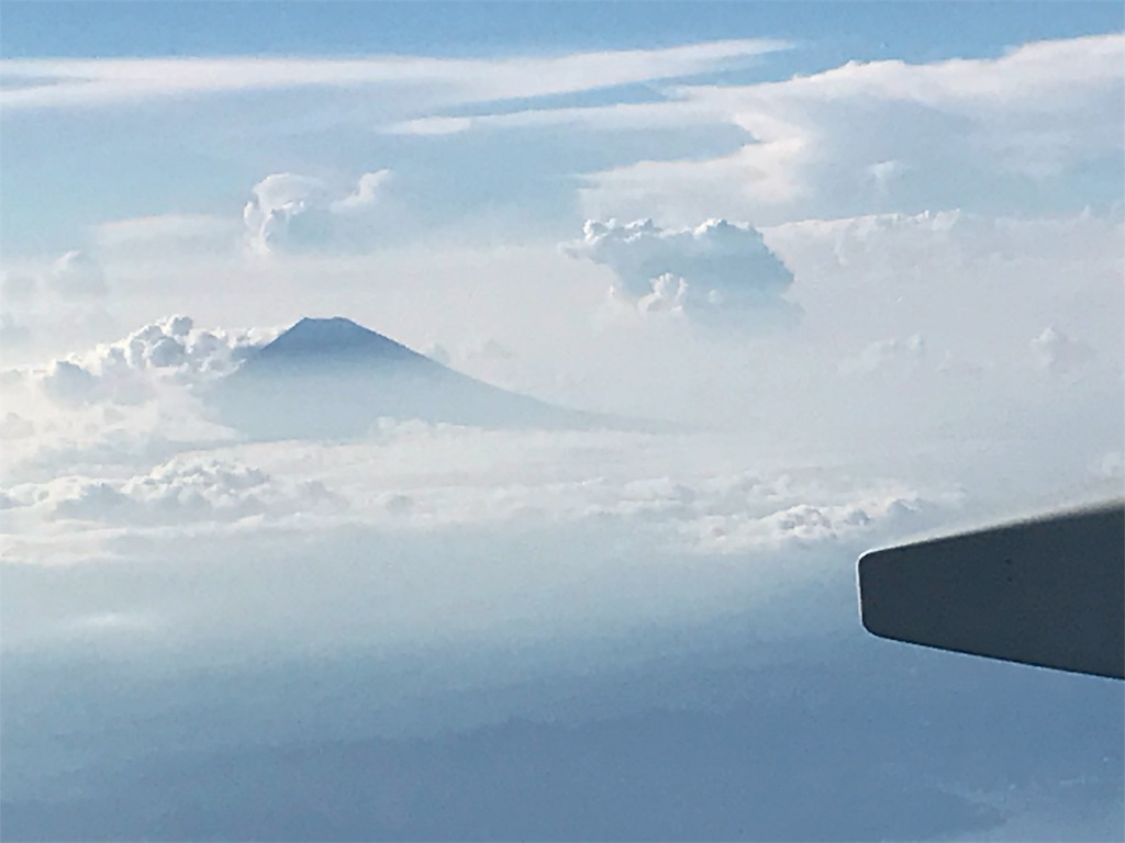 f:id:option-trade:20190805072517j:image