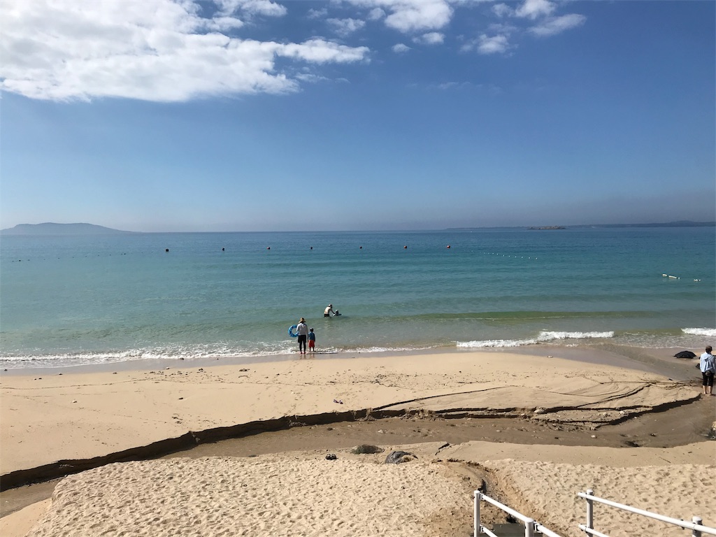 f:id:option-trade:20190805072641j:image