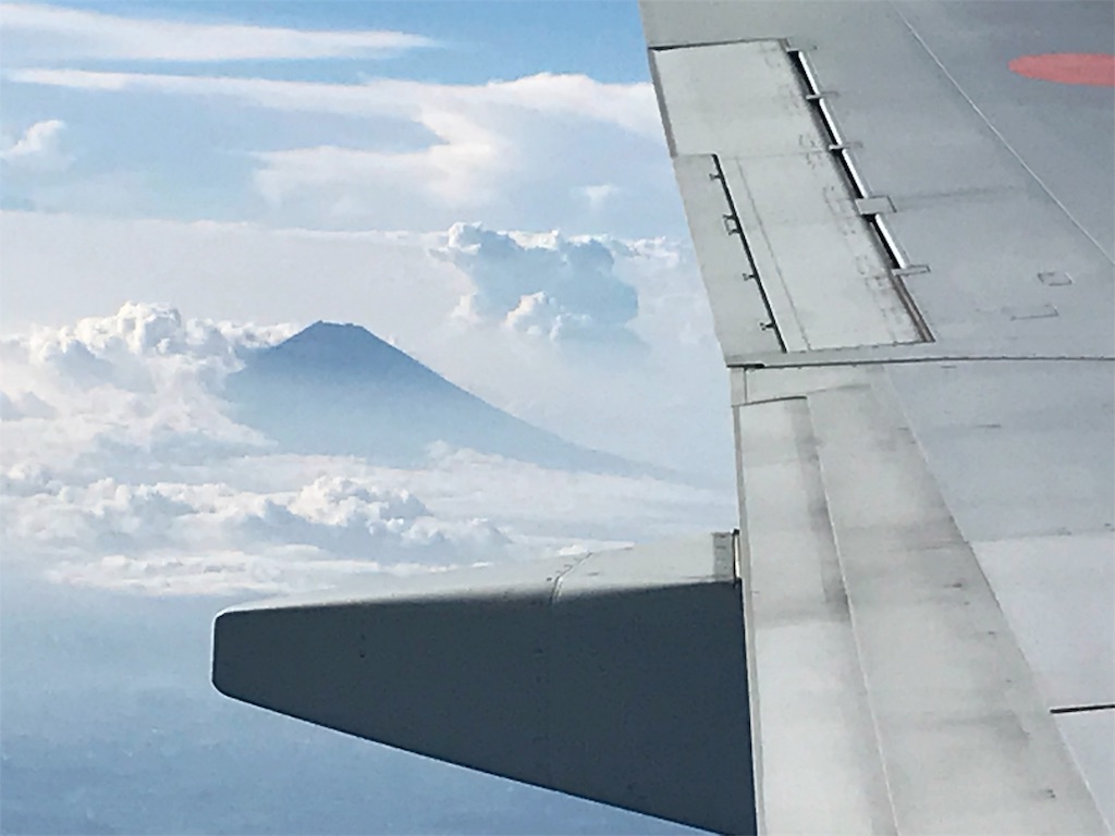 f:id:option-trade:20190805072719j:image