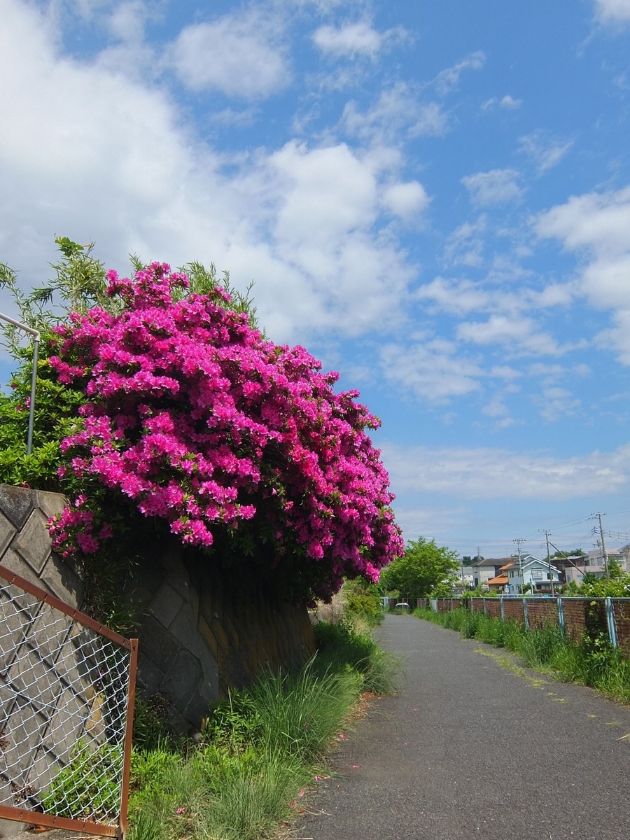 早速、FUJIFILM XF1を使って見ました。やはり昔、気なっていた点