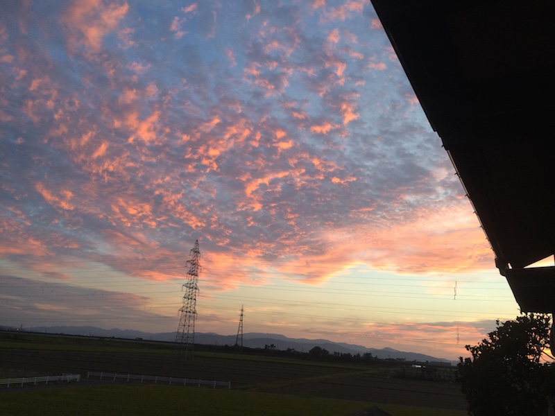f:id:opuesto:20180822111410j:plain f:id:opuesto:20180822111410j:plain