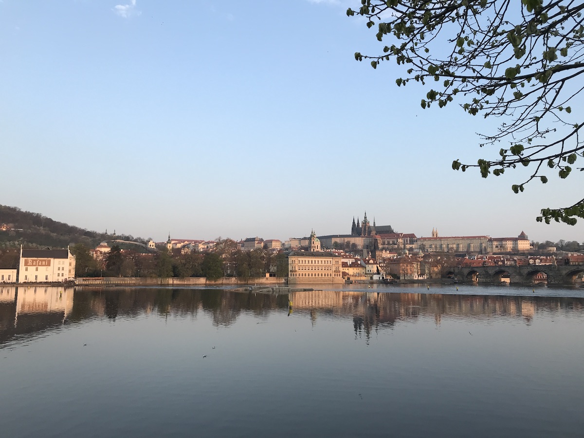 f:id:opuesto:20190416144413j:plain