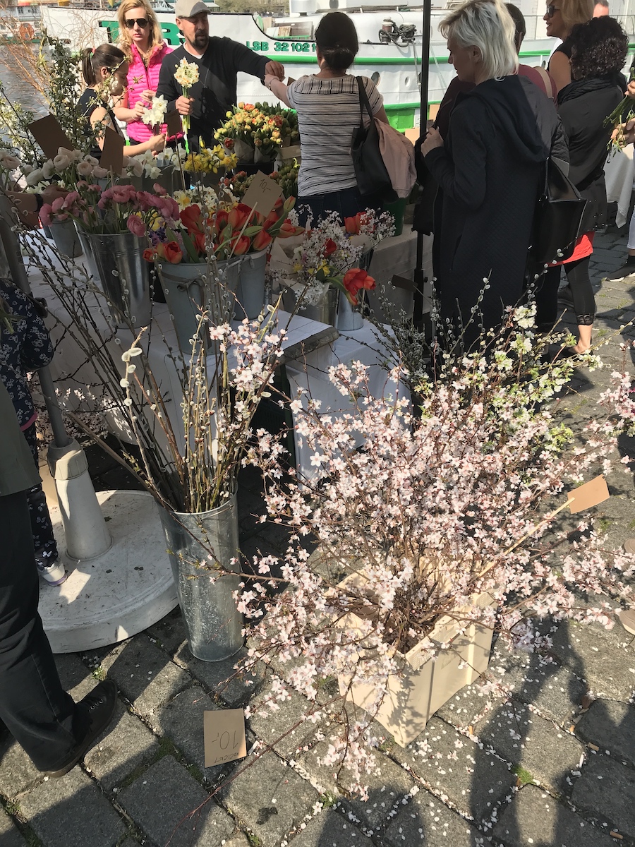 f:id:opuesto:20190416144553j:plain