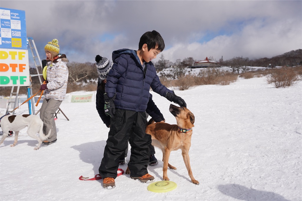 f:id:oqb:20210114032054j:image