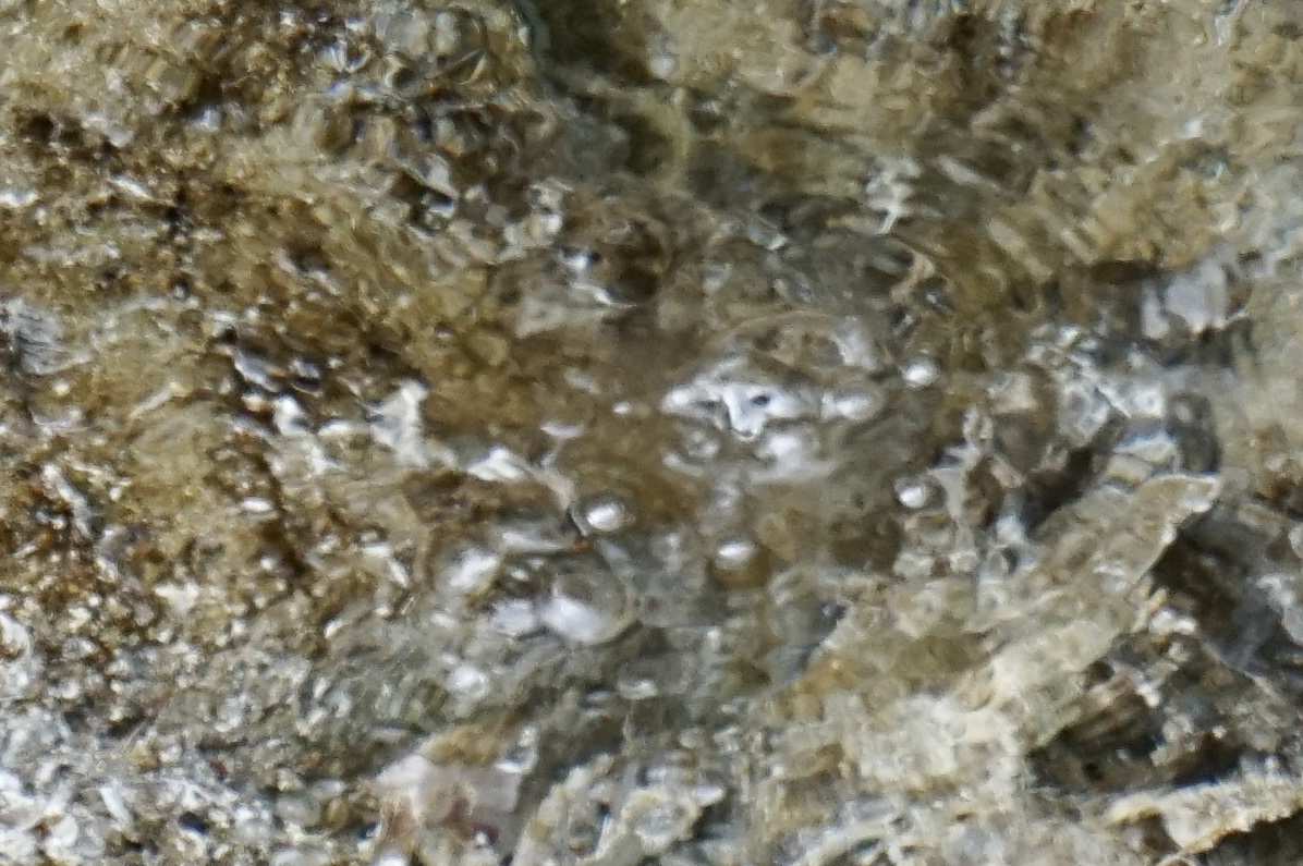 f:id:oqb:20220126082743j:plain