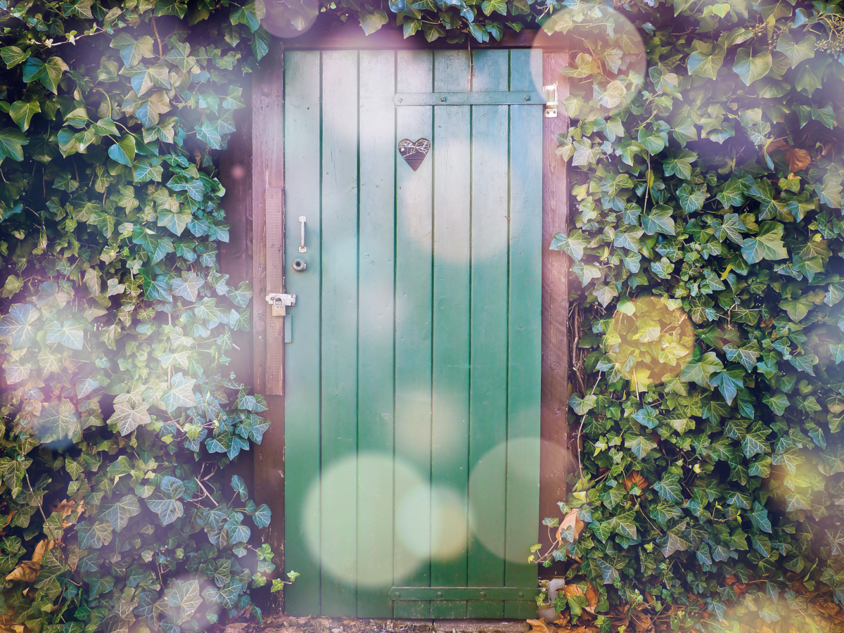 f:id:orange048juice:20210816181327p:plain