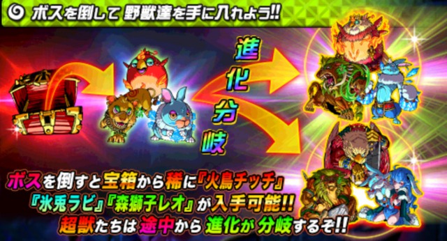 火鳥チッチ 氷兎ラビ 森獅子レオ の進化分岐 ドラゴンポーカーdiary