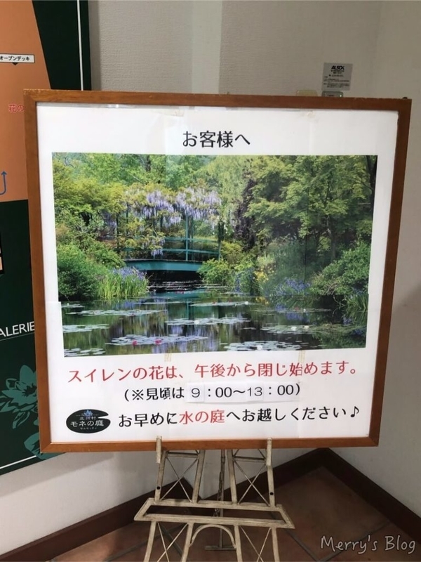 高知観光 モネの庭 花言葉のない青い睡蓮は高知でしか見れない Merry S Blog