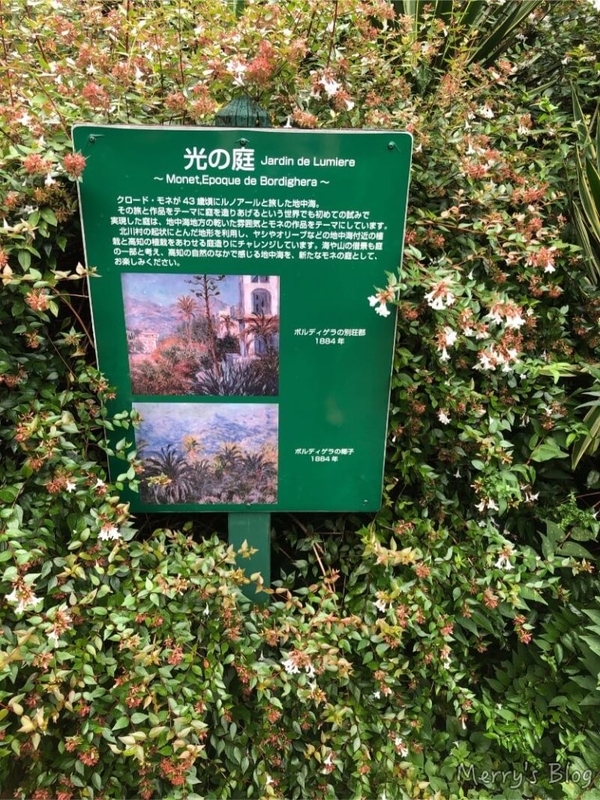 高知観光 モネの庭 花言葉のない青い睡蓮は高知でしか見れない Merry S Blog