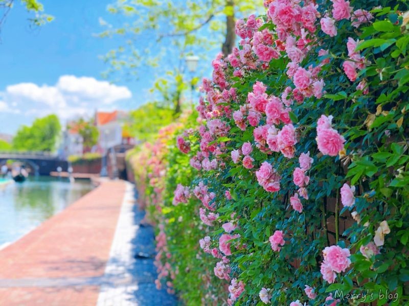 f:id:orange_candy_08:20210814134027j:plain