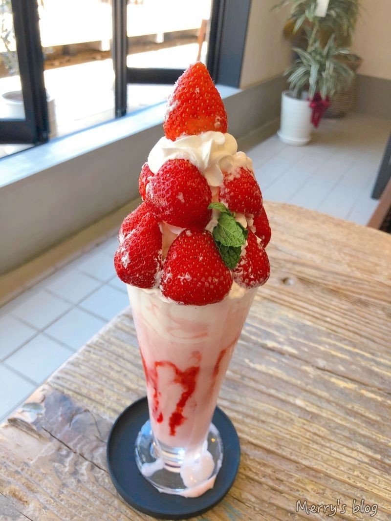 f:id:orange_candy_08:20210814134149j:plain