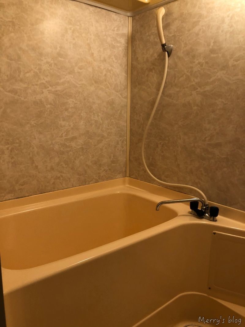 f:id:orange_candy_08:20211001214845j:plain