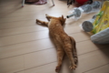 20150808130328