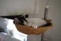 20150808155106