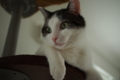 20150809121544