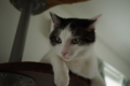 20150809121549