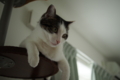 20150809121554