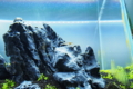 20150812211640