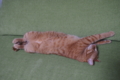 20150905204153