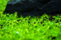 20150905222248