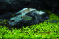20150905222315