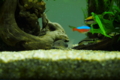 20150905222738
