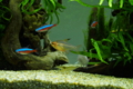 20150905222822