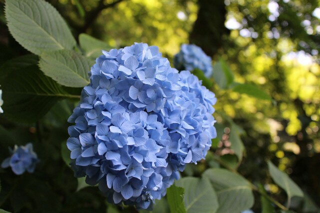 f:id:orange_mikan200:20160612125827j:image f:id:orange_mikan200:20160612125827j:image