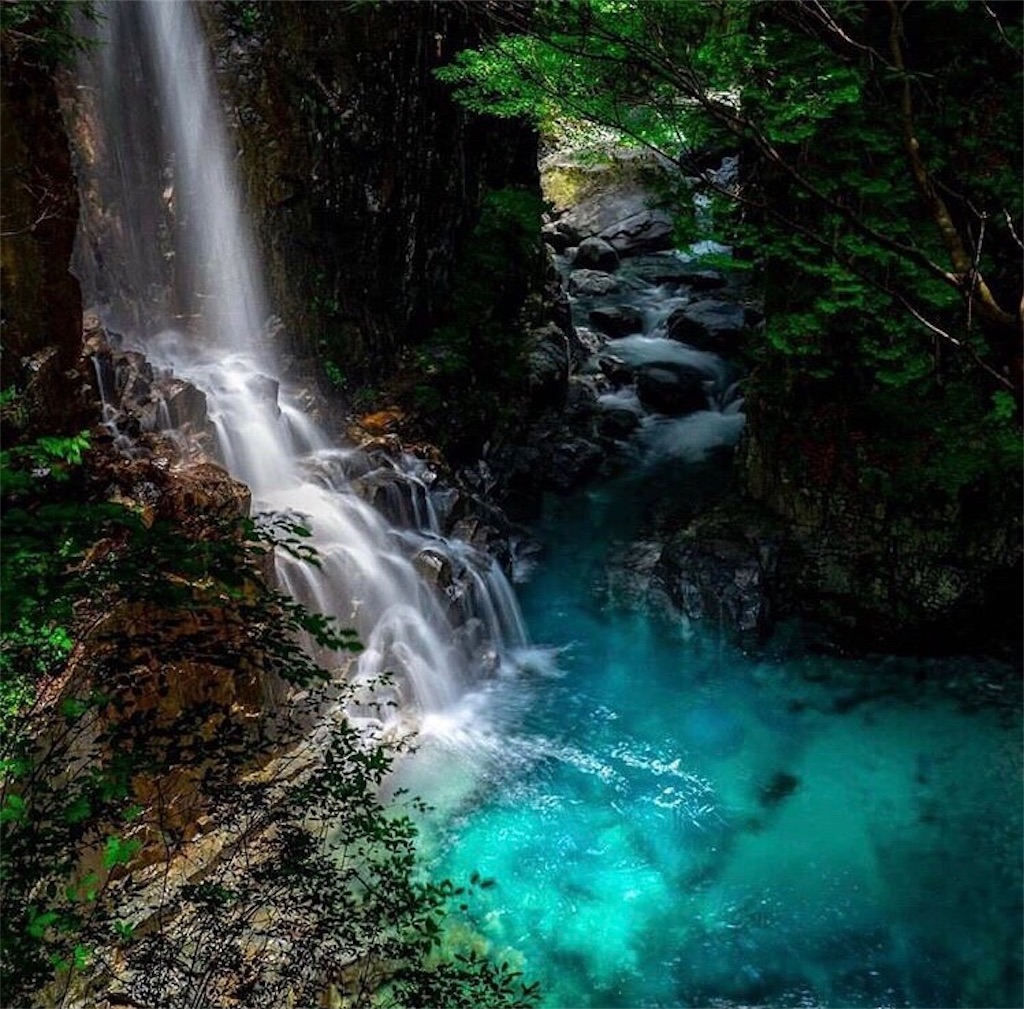 f:id:orange_x:20190411184526j:image