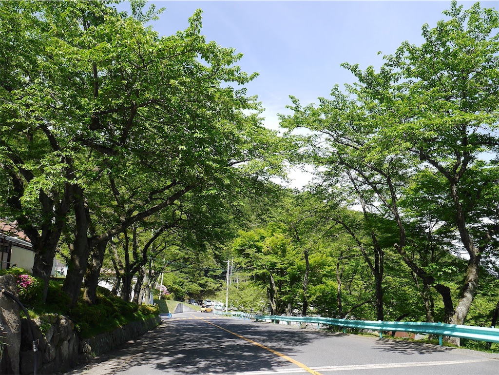 f:id:orange_x:20190416155944j:image