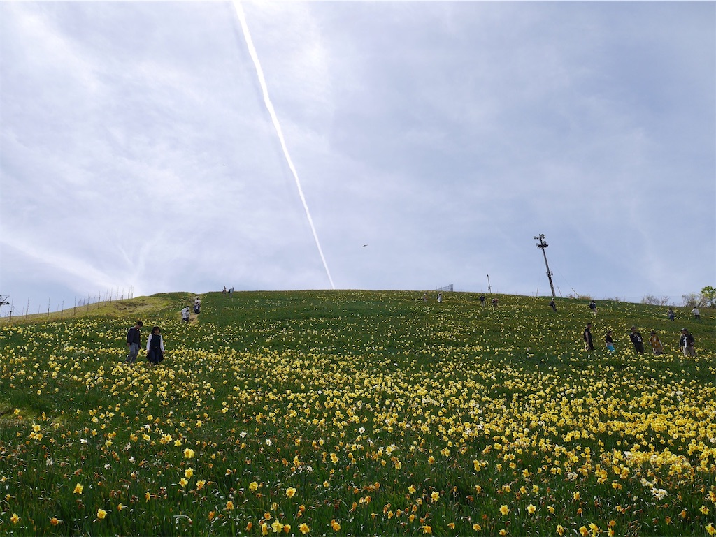 f:id:orange_x:20190416160254j:image