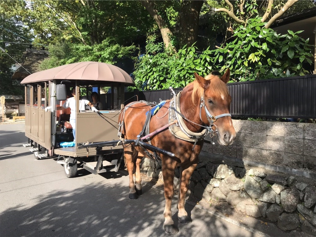 f:id:orange_x:20190512191216j:image