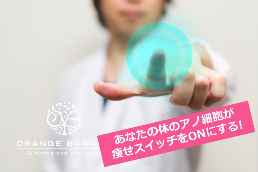 f:id:orangebanana_niigata:20170712103334j:plain f:id:orangebanana_niigata:20170712103334j:plain