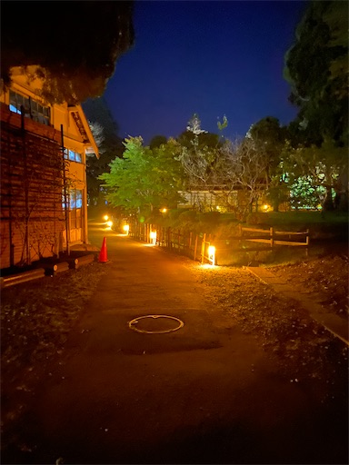 f:id:orangebaumkuchen:20251022220142j:image