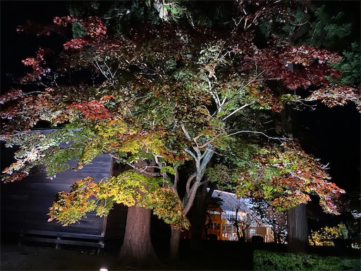 f:id:orangebaumkuchen:20251022220426j:image