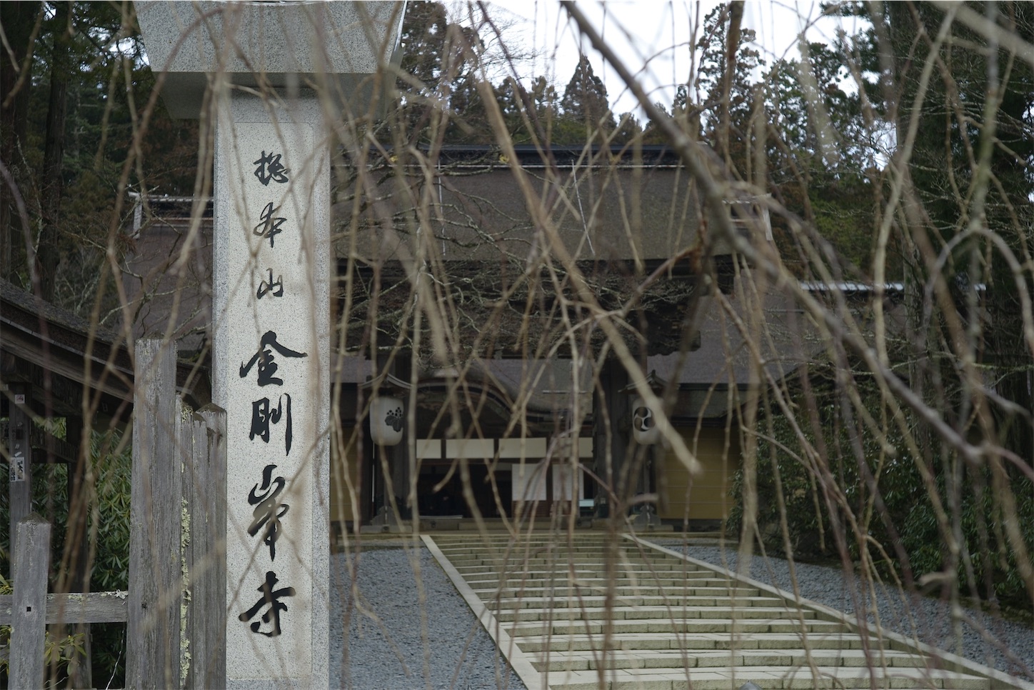 f:id:orangecamera:20200301162554j:image f:id:orangecamera:20200301162554j:image