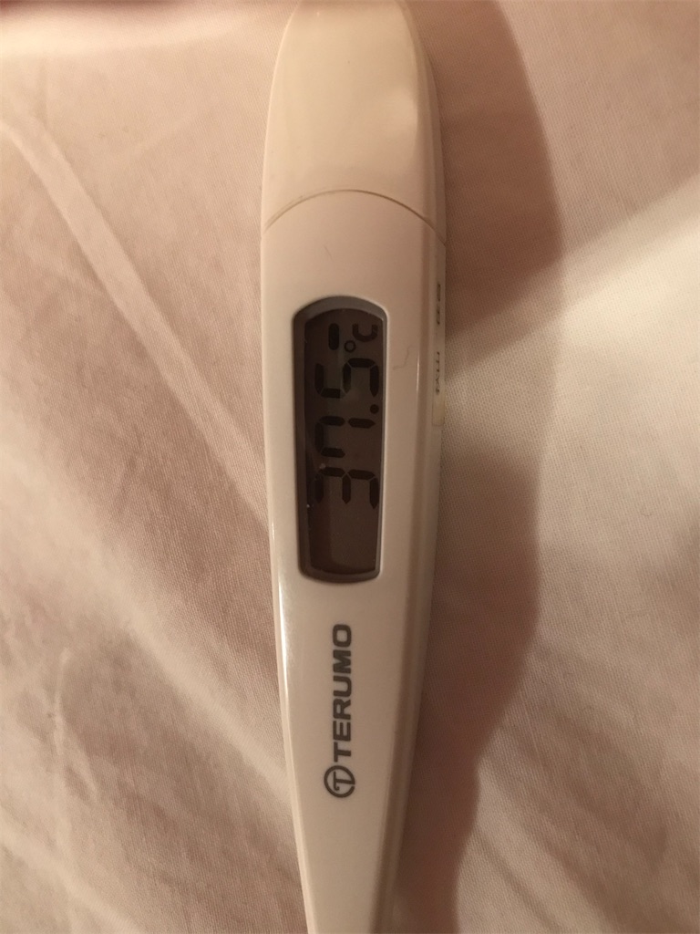 f:id:orangechango:20200110180853j:image f:id:orangechango:20200110180853j:image