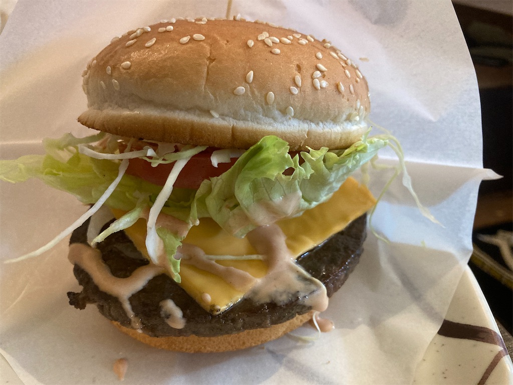 f:id:orangechango:20201206200135j:image