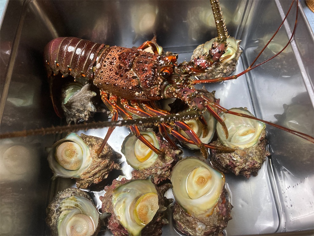 f:id:orangechango:20201206200516j:image