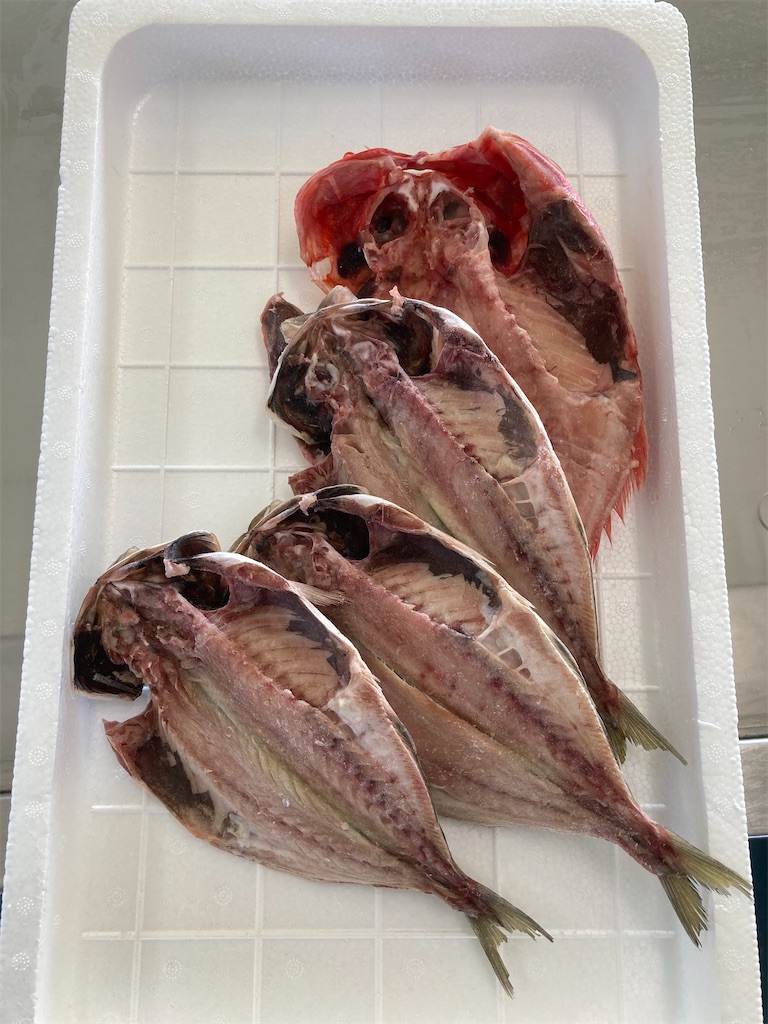 f:id:orangechango:20201207122246j:image