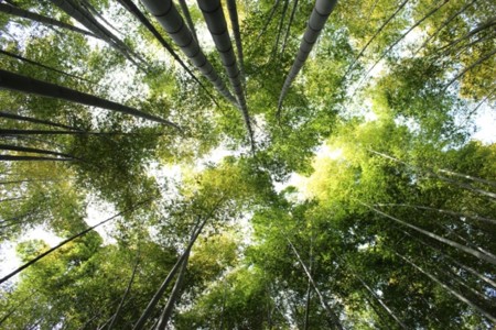 f:id:orangegiraffe:20110506233255j:image