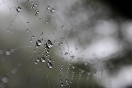 f:id:orangegiraffe:20110620012620j:image