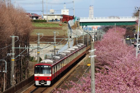 f:id:orangegiraffe:20120320231155j:image:w360