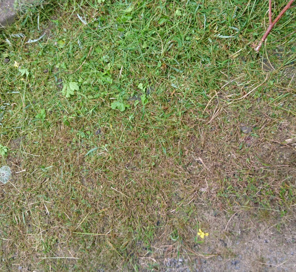 f:id:orangelamp8:20170911154135p:plain f:id:orangelamp8:20170911154135p:plain