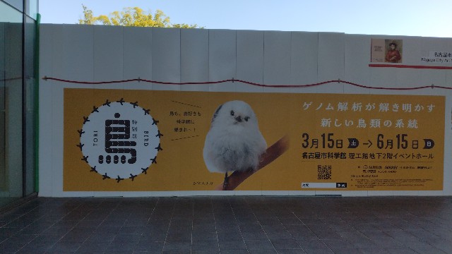 f:id:orangemoon100:20250605185458j:image f:id:orangemoon100:20250605185458j:image